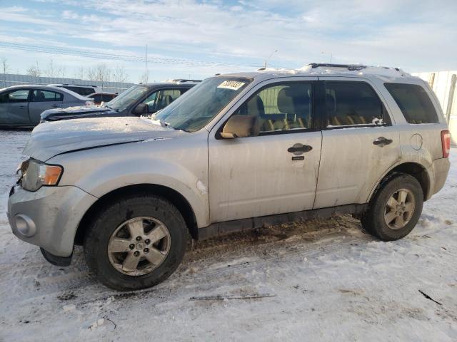 FORD ESCAPE XLT 2011 1fmcu0d70bka10779