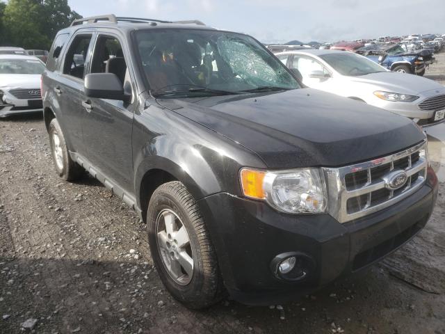 FORD ESCAPE XLT 2011 1fmcu0d70bka12371