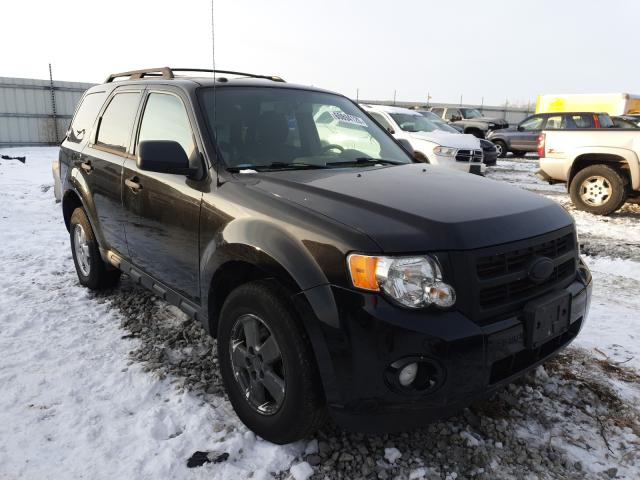 FORD ESCAPE XLT 2011 1fmcu0d70bka37013