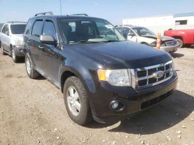 FORD ESCAPE XLT 2011 1fmcu0d70bka87152