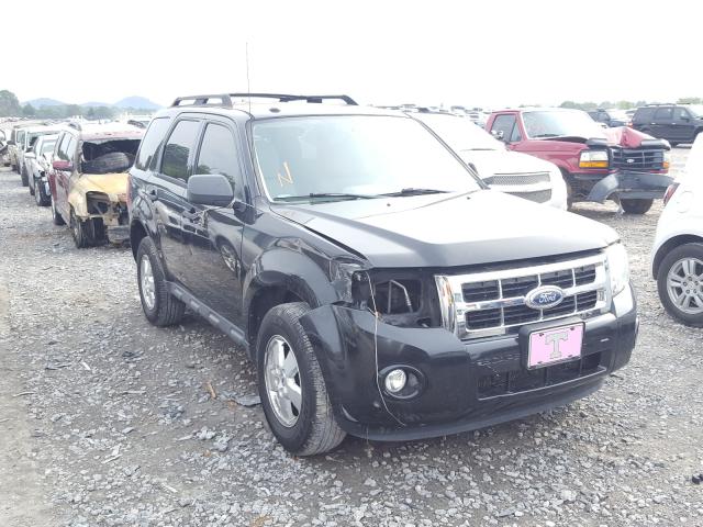 FORD ESCAPE XLT 2011 1fmcu0d70bkb01311