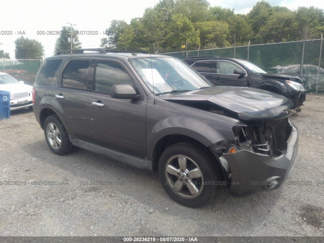 FORD ESCAPE 2011 1fmcu0d70bkb10171