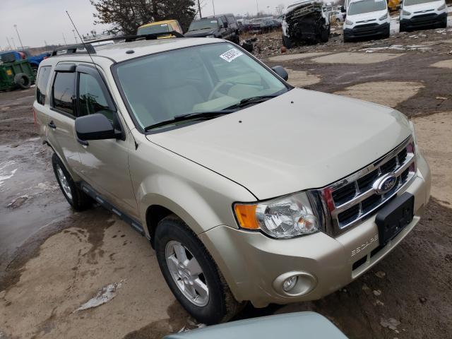 FORD ESCAPE XLT 2011 1fmcu0d70bkb30467