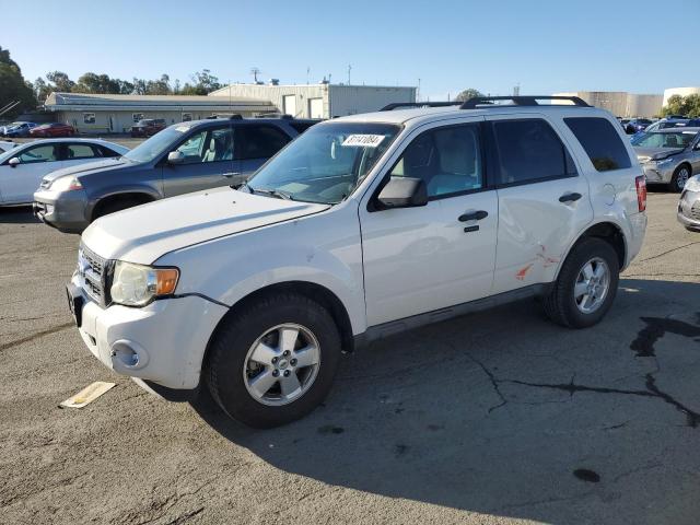 FORD ESCAPE XLT 2011 1fmcu0d71bka08331