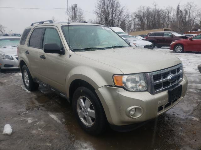 FORD ESCAPE XLT 2010 1fmcu0d72aka53213