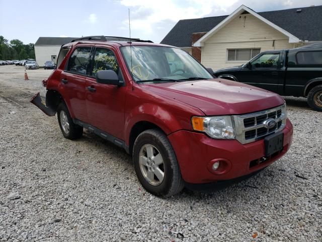 FORD ESCAPE XLT 2010 1fmcu0d72akb01728