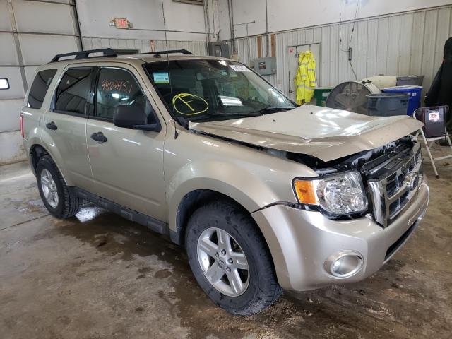 FORD ESCAPE XLT 2010 1fmcu0d72akc83592