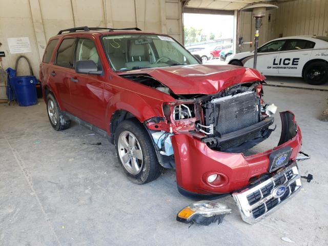 FORD ESCAPE XLT 2011 1fmcu0d72bka03977