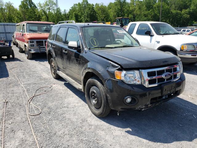 FORD ESCAPE XLT 2011 1fmcu0d72bka87590