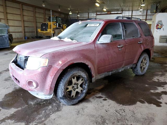 FORD ESCAPE 2010 1fmcu0d73akc48253