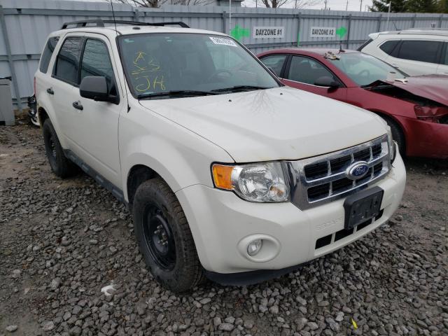 FORD ESCAPE XLT 2011 1fmcu0d73bka51519