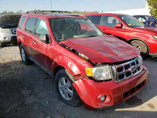 FORD ESCAPE XLT 2011 1fmcu0d73bka66196