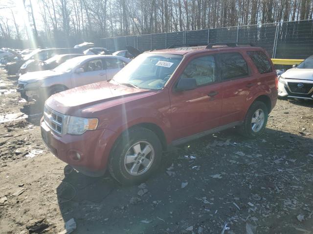 FORD ESCAPE XLT 2011 1fmcu0d73bka66523