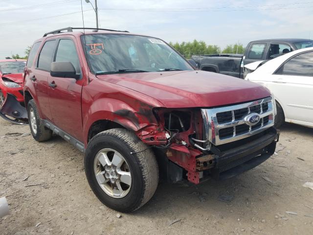 FORD ESCAPE XLT 2011 1fmcu0d73bkb16496