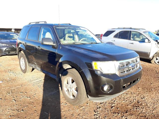 FORD ESCAPE XLT 2011 1fmcu0d73bkb53256