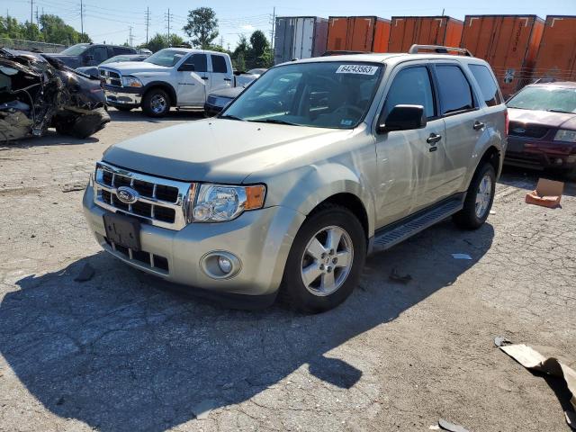 FORD ESCAPE XLT 2011 1fmcu0d73bkc51526