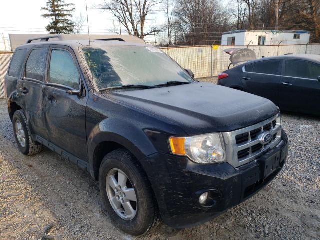 FORD ESCAPE XLT 2010 1fmcu0d74akd43694