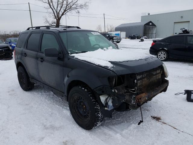 FORD ESCAPE XLT 2011 1fmcu0d74bka01177