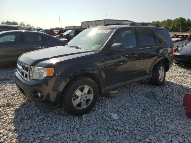 FORD ESCAPE XLT 2011 1fmcu0d74bka06766