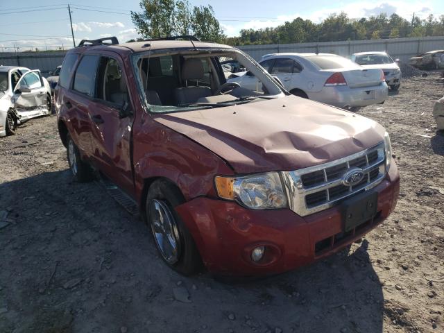 FORD ESCAPE XLT 2011 1fmcu0d74bka36513