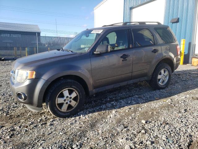 FORD ESCAPE XLT 2011 1fmcu0d74bka40187