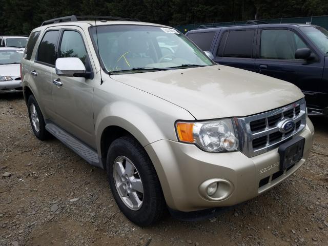 FORD ESCAPE XLT 2011 1fmcu0d74bka41646