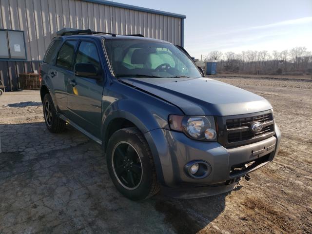 FORD ESCAPE XLT 2011 1fmcu0d74bka97019