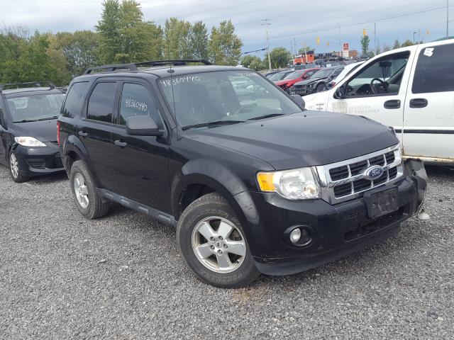 FORD ESCAPE XLT 2011 1fmcu0d74bkb68106