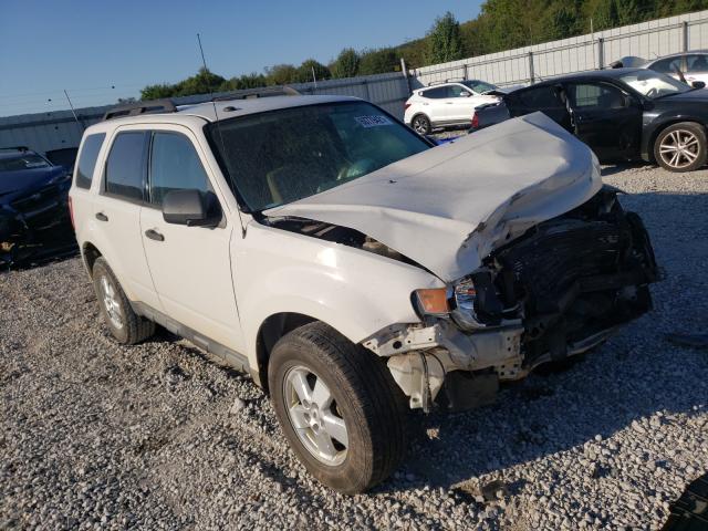 FORD ESCAPE XLT 2010 1fmcu0d75akb78125