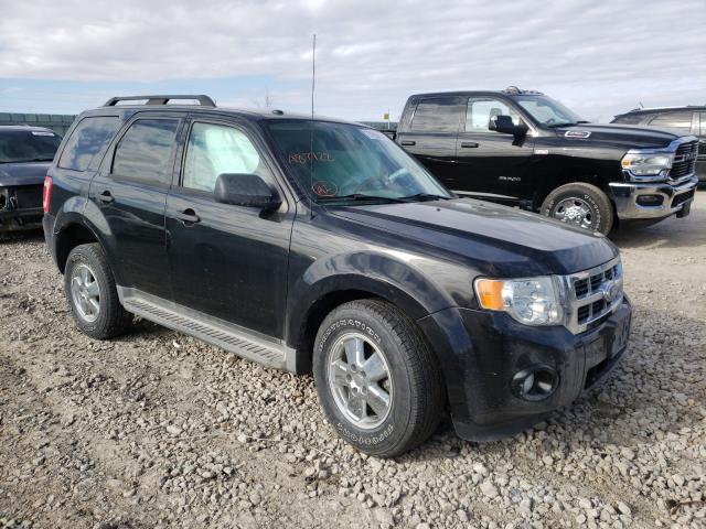 FORD ESCAPE XLT 2011 1fmcu0d75bka87728