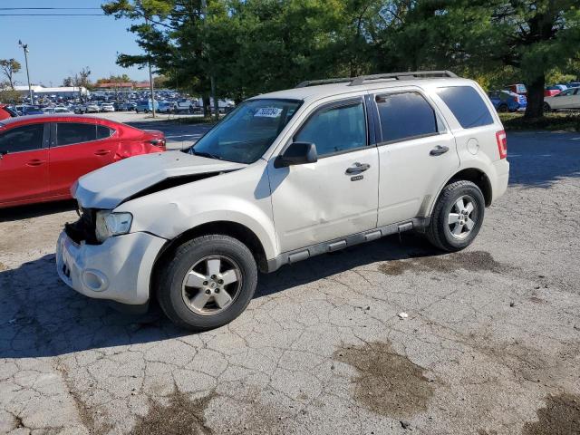 FORD ESCAPE XLT 2011 1fmcu0d75bkb27399