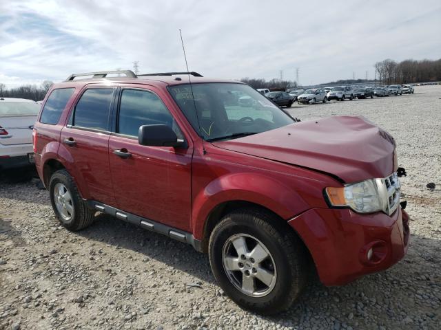 FORD ESCAPE XLT 2011 1fmcu0d75bkb74917