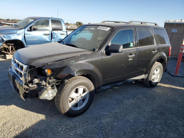 FORD ESCAPE XLT 2011 1fmcu0d75bkb97825