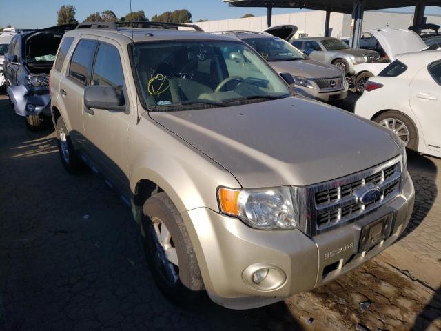 FORD ESCAPE XLT 2010 1fmcu0d76aka55658