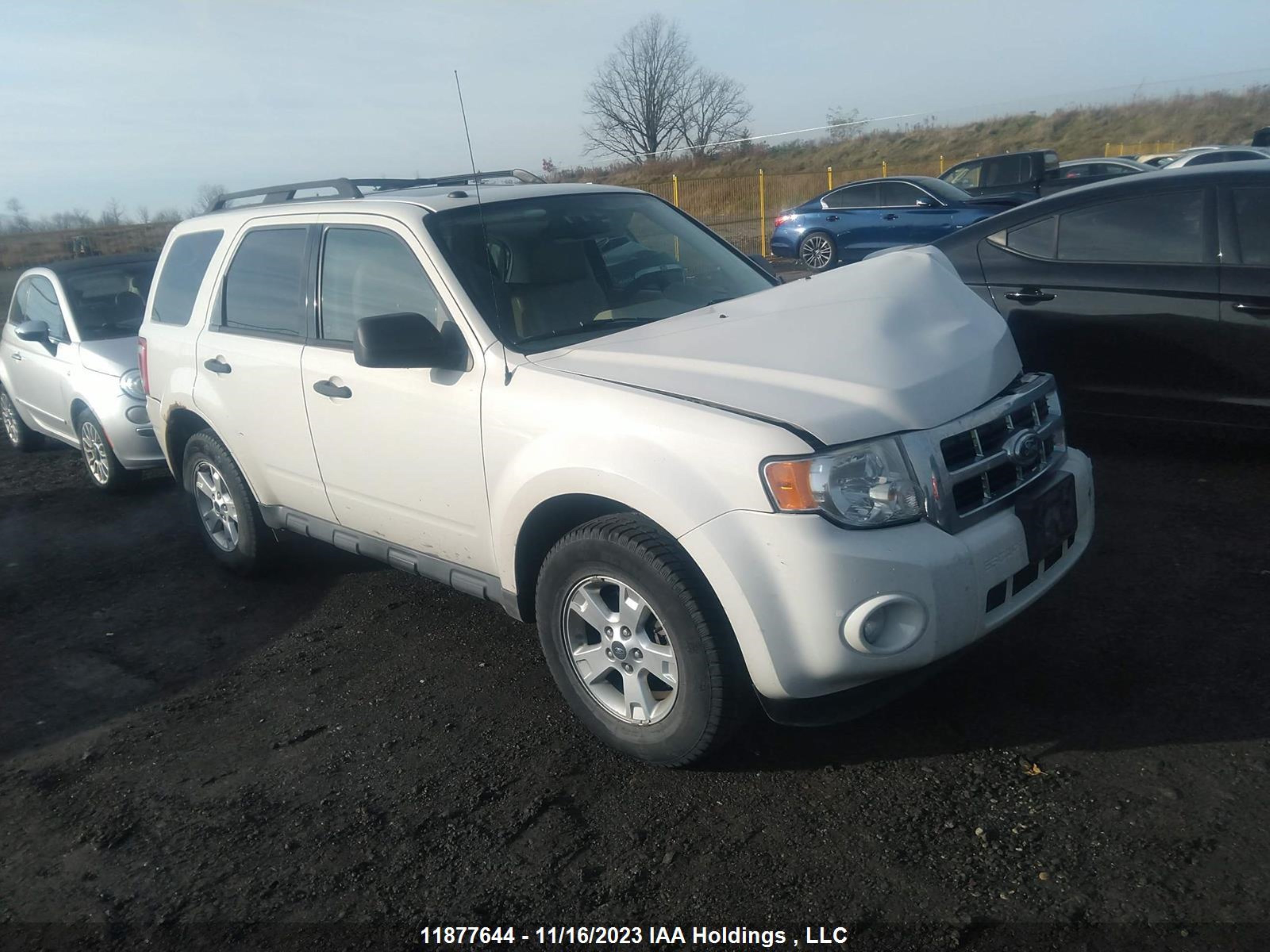 FORD ESCAPE 2010 1fmcu0d76akb38331