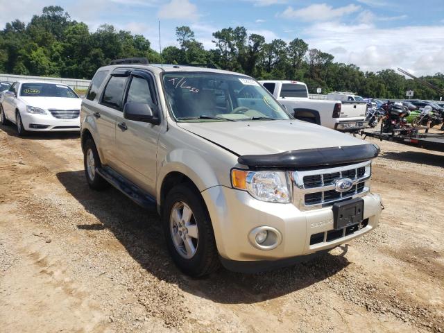 FORD ESCAPE XLT 2010 1fmcu0d76akd16755