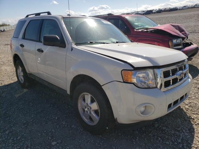 FORD ESCAPE XLT 2011 1fmcu0d76bkb19196