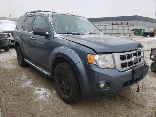 FORD ESCAPE XLT 2011 1fmcu0d76bkb31204