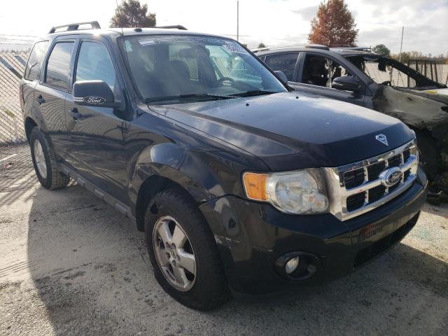 FORD ESCAPE XLT 2011 1fmcu0d76bkb36502