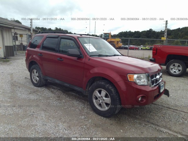 FORD ESCAPE 2011 1fmcu0d76bkb58516