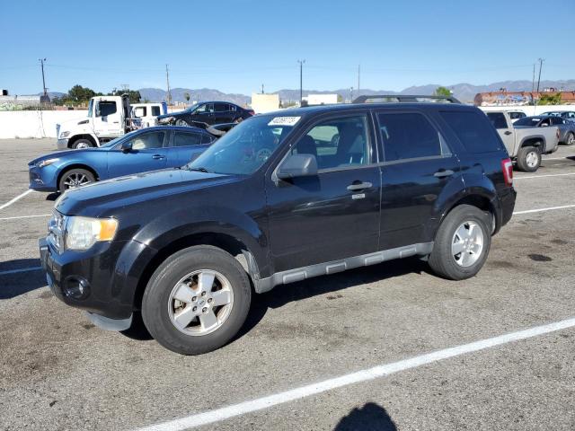 FORD ESCAPE XLT 2011 1fmcu0d76bkb66731