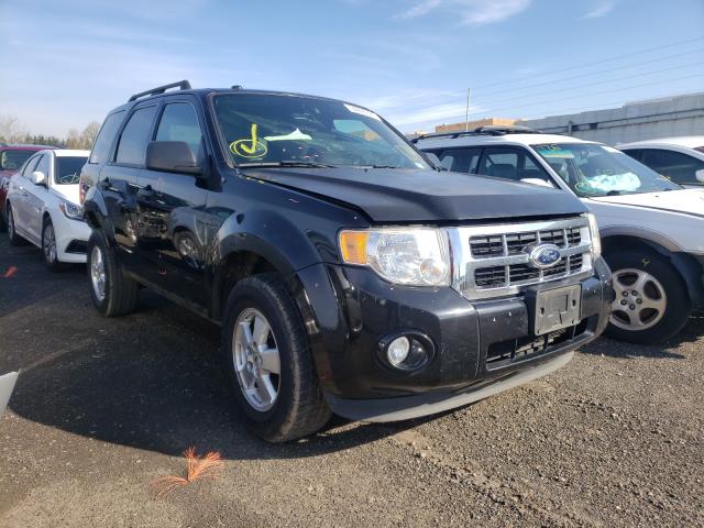 FORD ESCAPE XLT 2011 1fmcu0d76bkc11098