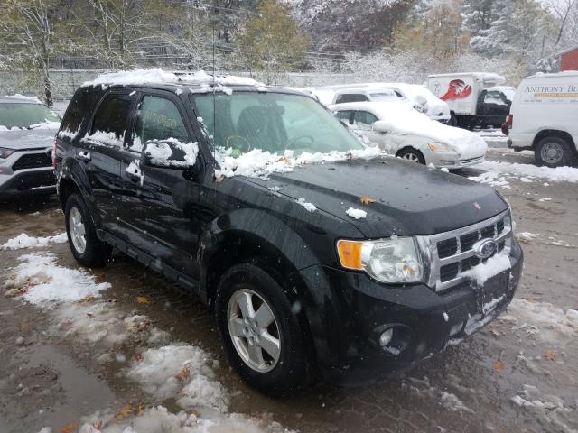 FORD ESCAPE XLT 2011 1fmcu0d77bka90355