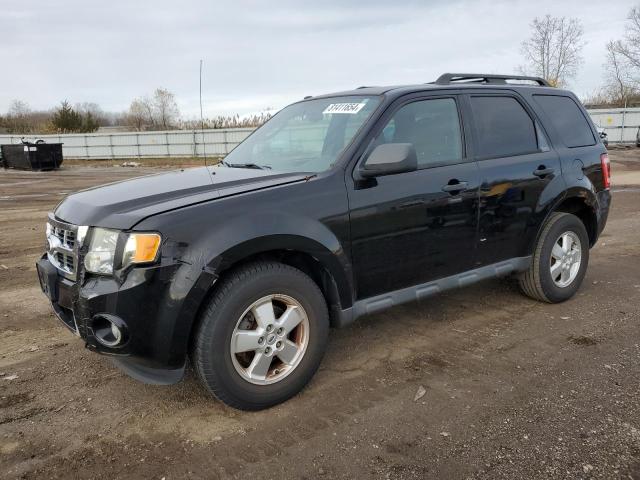 FORD ESCAPE XLT 2010 1fmcu0d78akd38692