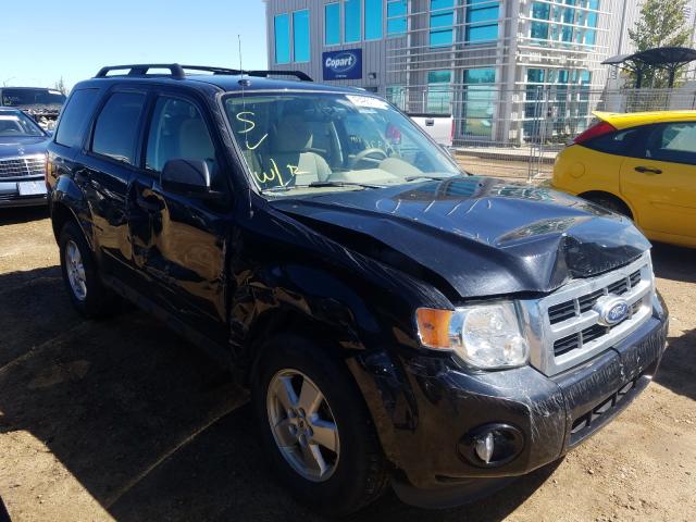 FORD ESCAPE XLT 2011 1fmcu0d78bka88372