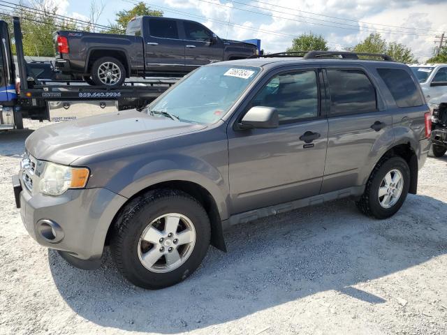 FORD ESCAPE XLT 2011 1fmcu0d78bkc34723