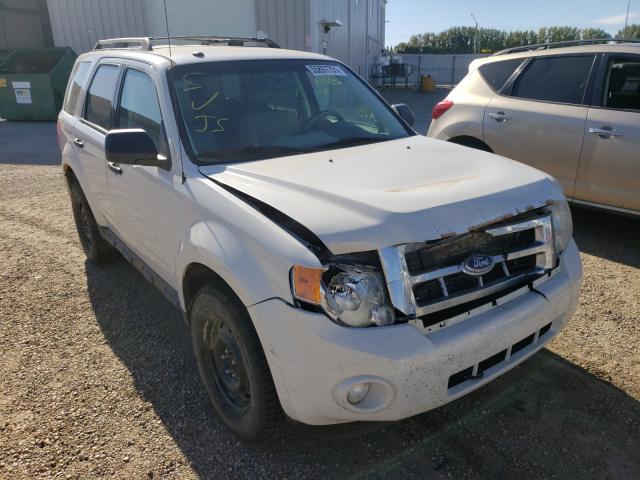 FORD ESCAPE XLT 2010 1fmcu0d79akb87474