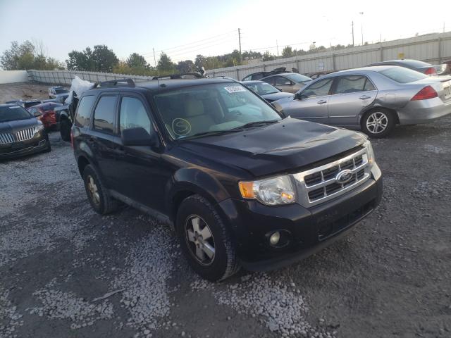 FORD ESCAPE XLT 2011 1fmcu0d79bka45241