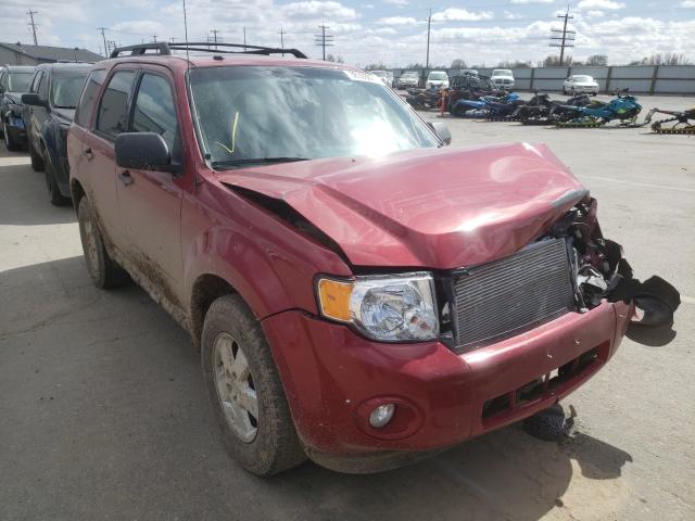 FORD ESCAPE XLT 2011 1fmcu0d79bka69250