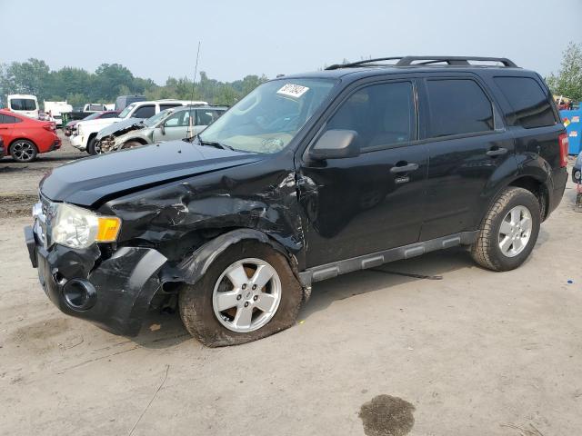 FORD ESCAPE XLT 2011 1fmcu0d79bkb57862